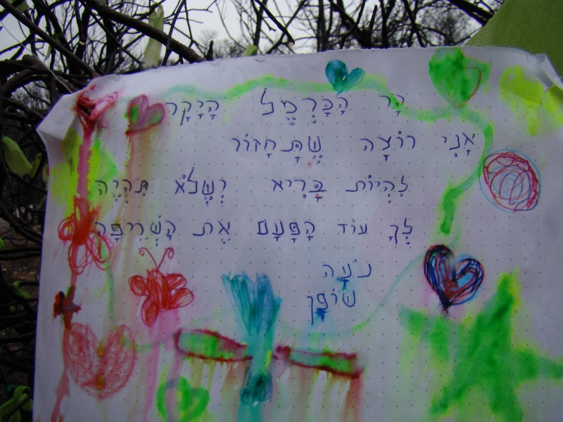 קובץ:DSC09399.JPG