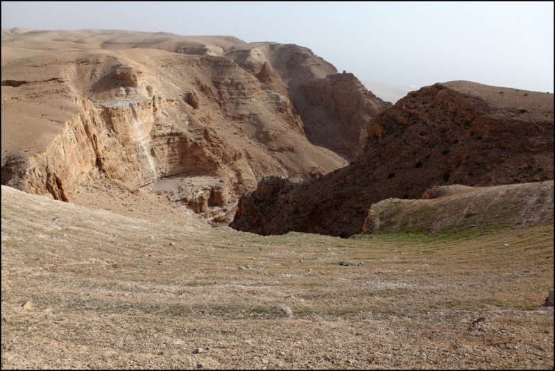 קובץ:Dead sea Wadi Tmarim0015.jpg