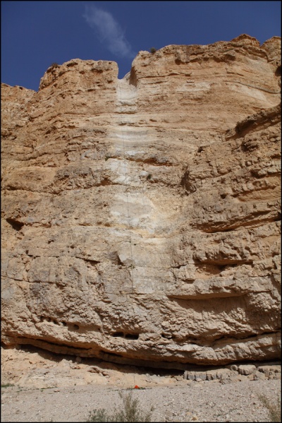 קובץ:Dead sea Wadi Tmarim0020.jpg
