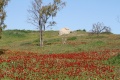 תמונה ממוזערת לגרסה מתאריך 18:36, 24 ביוני 2015