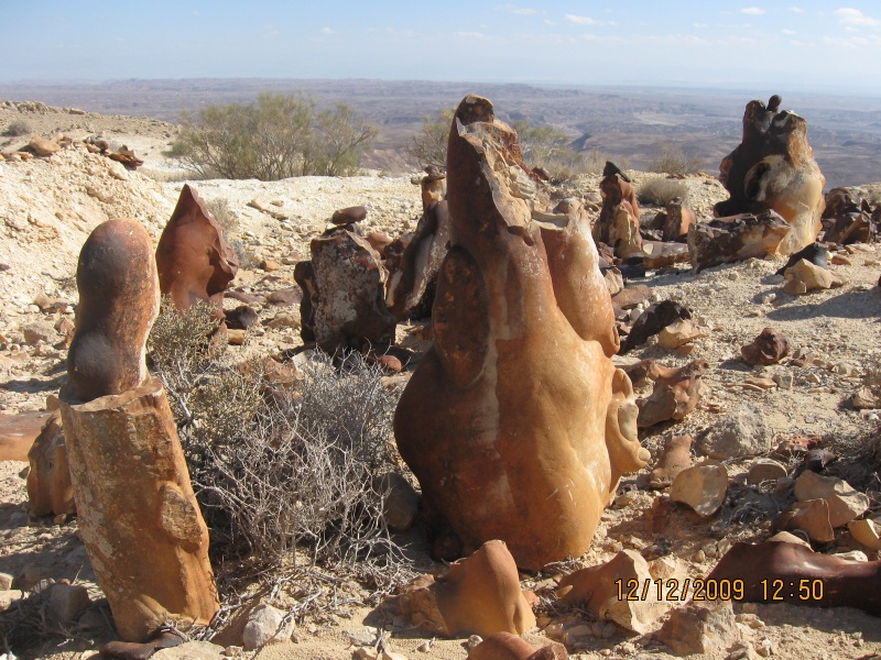 קובץ:IMG 0425.jpg