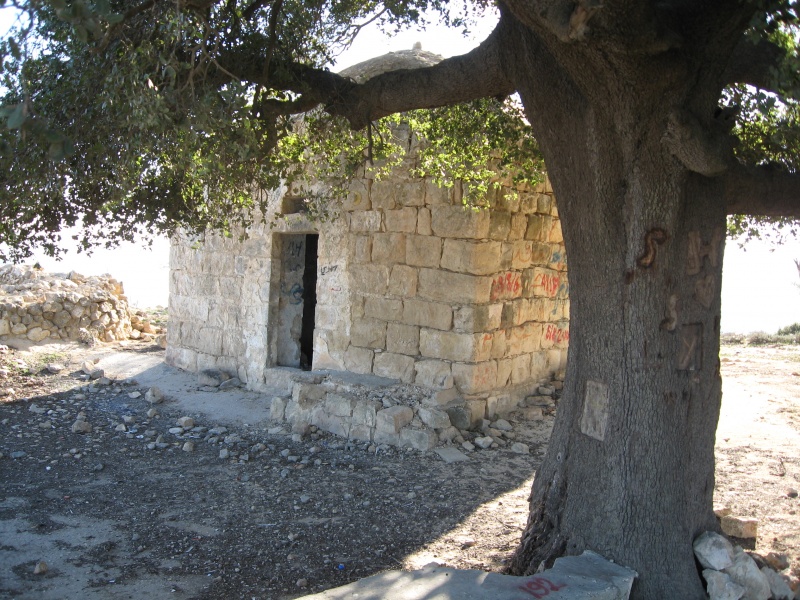 קובץ:IMG 0785.JPG