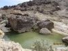 IMG 1447.JPG