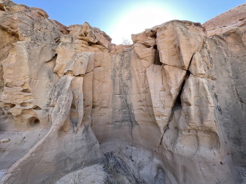 קובץ:IMG 1561.jpeg