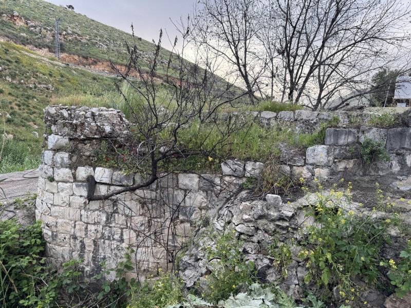 קובץ:IMG 4853.JPG