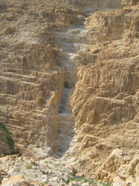 קובץ:IMG 8913.JPG