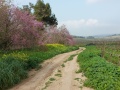 תמונה ממוזערת לגרסה מתאריך 08:03, 16 במרץ 2021