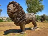 Lion of judah max greiner.jpg