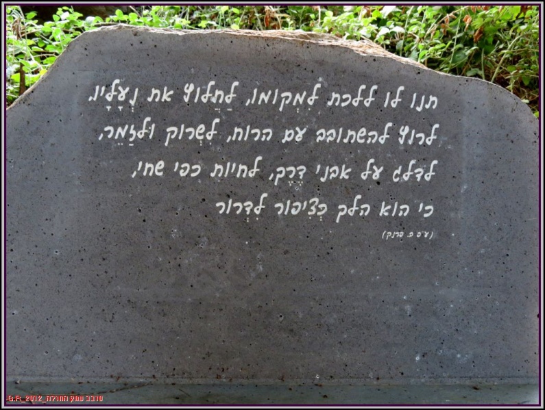 קובץ:PC-IMG 4279.jpg