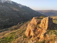 Shomra Wadi Haramiye.jpg