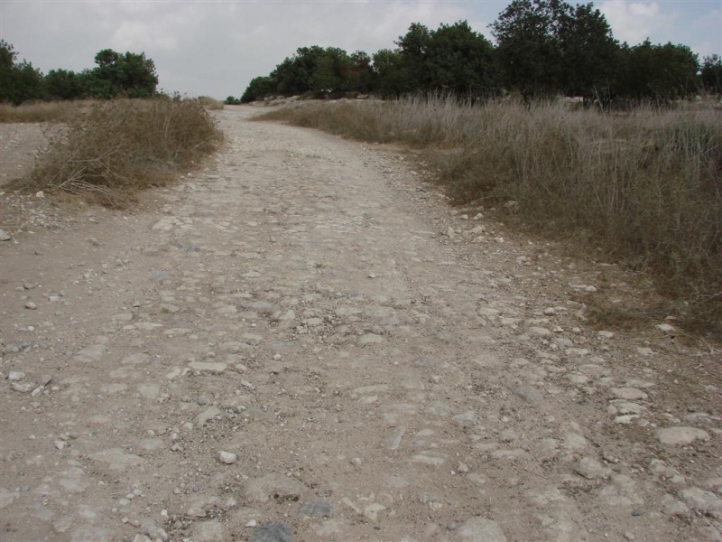 קובץ:Soling road - from Kfar Ben-Non to Tel Gezer 6.jpg