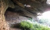 Tirat Carmel cave3.JPG