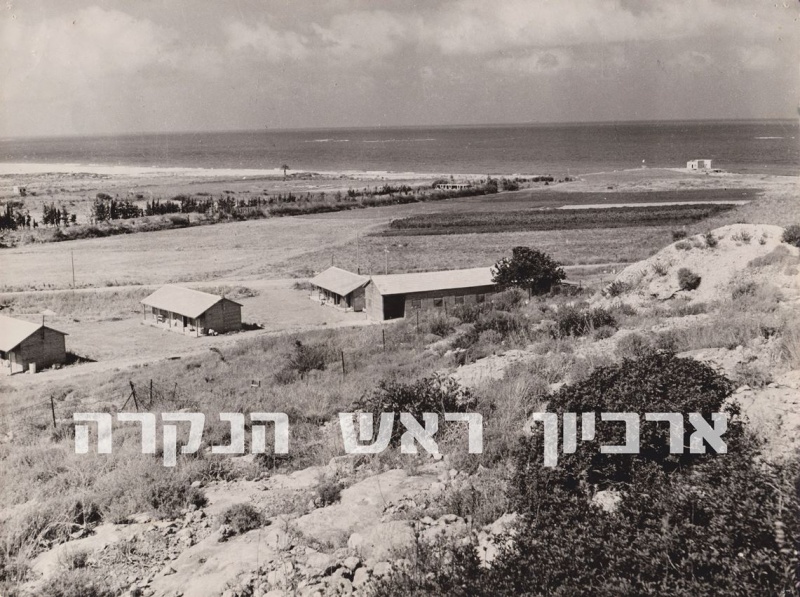 קובץ:VFY-000036-tif600-wt-020217.jpg