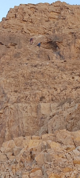 קובץ:WhatsApp Image 2021-11-05 at 19.44.26 (1).jpeg