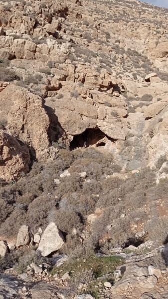 קובץ:WhatsApp Image 2021-12-22 at 19.20.52.jpeg