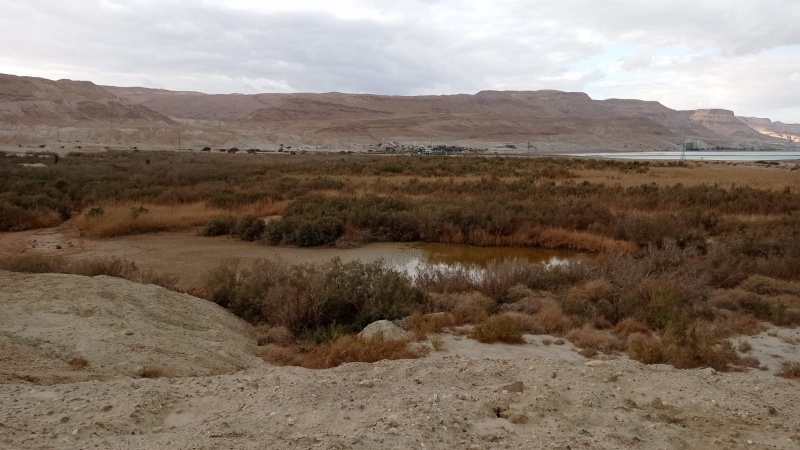 קובץ:WhatsApp Image 2022-01-21 at 03.12.36.jpeg