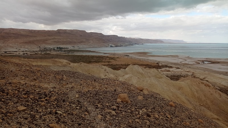 קובץ:WhatsApp Image 2022-01-21 at 03.13.00.jpeg