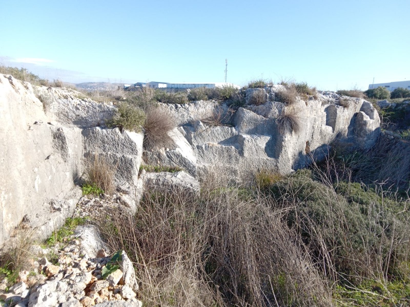 קובץ:WhatsApp Image 2022-01-23 at 14.35.08 (1).jpeg