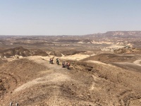 WhatsApp Image 2022-03-31 at 11.16.14 AM.jpeg