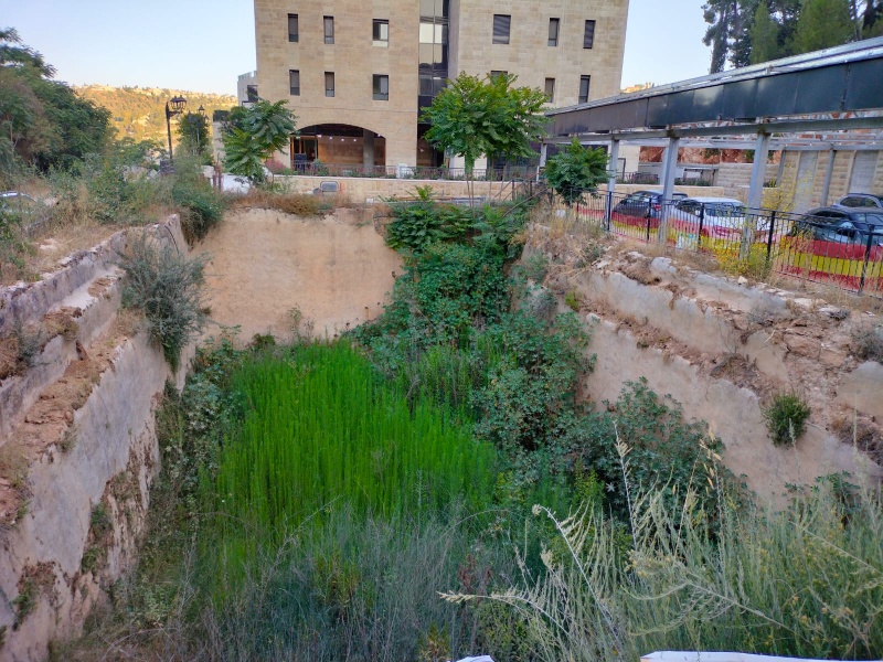 קובץ:WhatsApp Image 2025-06-28 at 07.21.47.jpeg