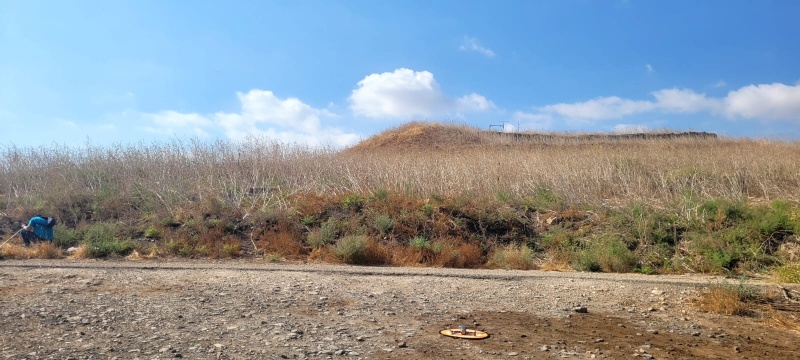 קובץ:WhatsApp Image 2025-08-16 at 15.29.42.jpeg