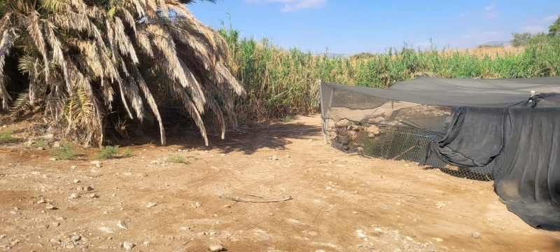 קובץ:WhatsApp Image 2025-08-16 at 15.29.42 (1).jpeg