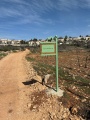 תמונה ממוזערת לגרסה מתאריך 13:21, 30 במרץ 2026
