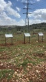 תמונה ממוזערת לגרסה מתאריך 13:32, 30 במרץ 2026