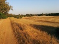 תמונה ממוזערת לגרסה מתאריך 17:54, 29 במאי 2015