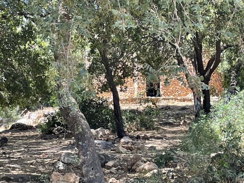קובץ:YC002.JPG