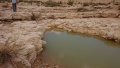 תמונה ממוזערת לגרסה מתאריך 13:38, 13 במאי 2018